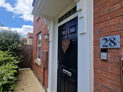 Picture 25